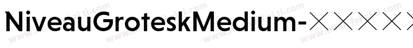 NiveauGroteskMedium字体转换
