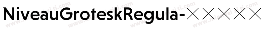 NiveauGroteskRegula字体转换
