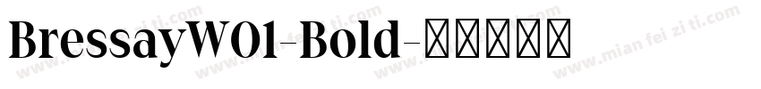 BressayW01-Bold字体转换