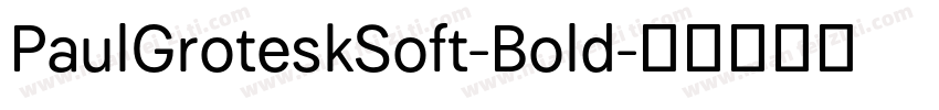 PaulGroteskSoft-Bold字体转换