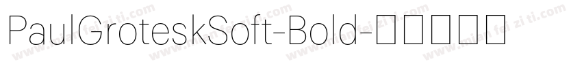 PaulGroteskSoft-Bold字体转换