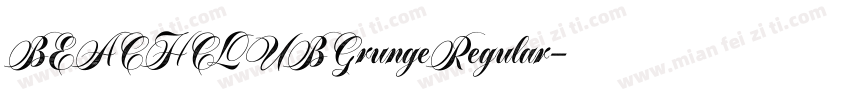 BEACHCLUBGrungeRegular字体转换