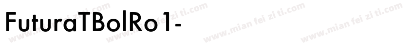 FuturaTBolRo1字体转换