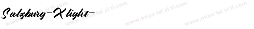Salzburg-Xlight字体转换
