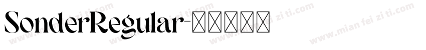 SonderRegular字体转换