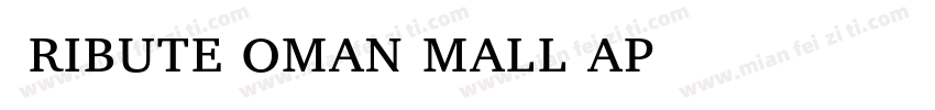 TributeRomanSmallCap字体转换
