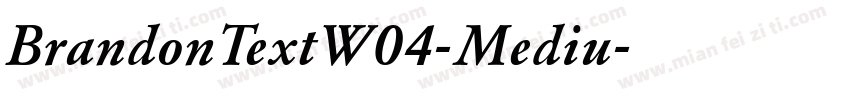 BrandonTextW04-Mediu字体转换
