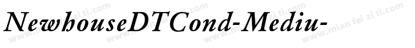 NewhouseDTCond-Mediu字体转换