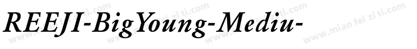 REEJI-BigYoung-Mediu字体转换
