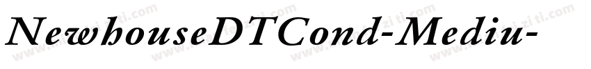 NewhouseDTCond-Mediu字体转换