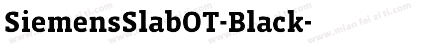 SiemensSlabOT-Black字体转换