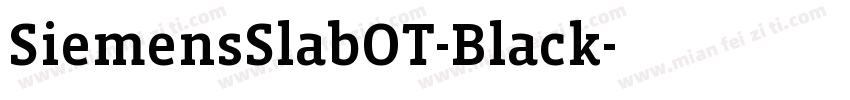 SiemensSlabOT-Black字体转换