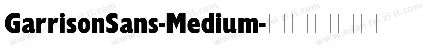 GarrisonSans-Medium字体转换