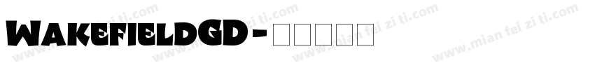 WakefieldGD字体转换