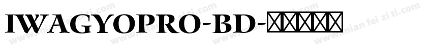 IwaGyoPro-Bd字体转换