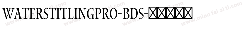 WatersTitlingPro-BdS字体转换