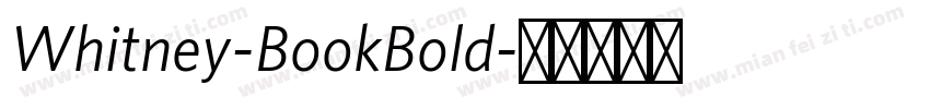 Whitney-BookBold字体转换