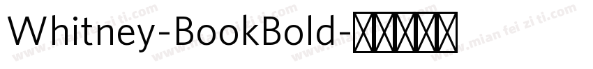 Whitney-BookBold字体转换