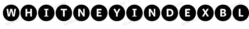 WhitneyIndexBlack字体转换