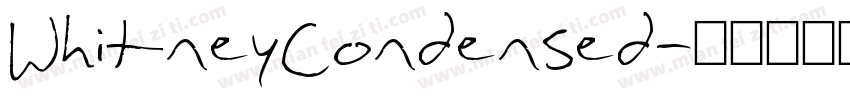 WhitneyCondensed字体转换