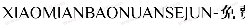 XIAOMIANBAONUANSEJUN字体转换