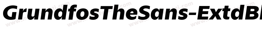 GrundfosTheSans-ExtdBlack字体转换