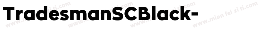 TradesmanSCBlack字体转换