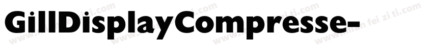 GillDisplayCompresse字体转换