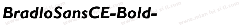 BradloSansCE-Bold字体转换