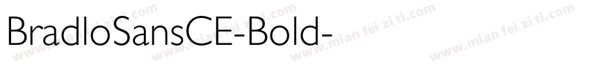 BradloSansCE-Bold字体转换