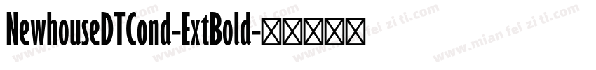 NewhouseDTCond-ExtBold字体转换