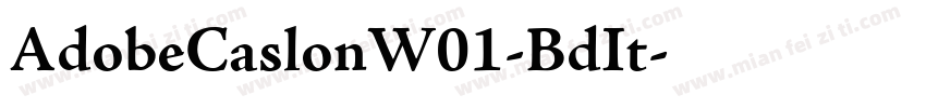AdobeCaslonW01-BdIt字体转换
