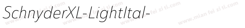 SchnyderXL-LightItal字体转换