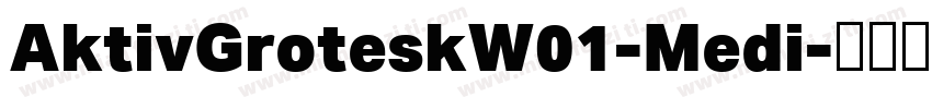 AktivGroteskW01-Medi字体转换