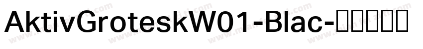 AktivGroteskW01-Blac字体转换