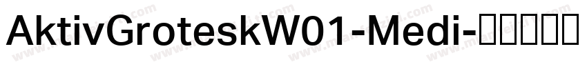 AktivGroteskW01-Medi字体转换