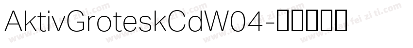 AktivGroteskCdW04字体转换