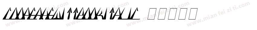 cooperhewittbookitalic字体转换
