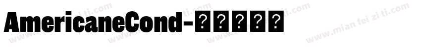 AmericaneCond字体转换