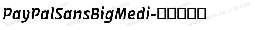 PayPalSansBigMedi字体转换