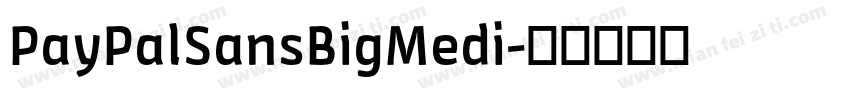 PayPalSansBigMedi字体转换
