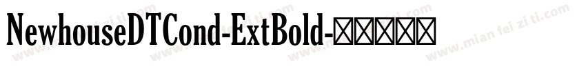 NewhouseDTCond-ExtBold字体转换