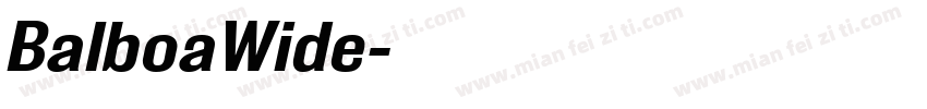 BalboaWide字体转换