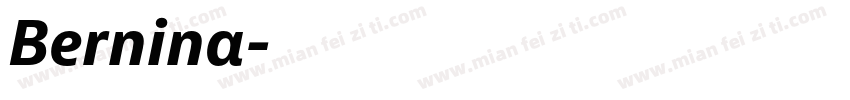 Bernina字体转换