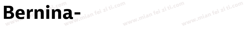 Bernina字体转换