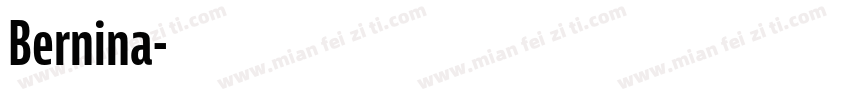 Bernina字体转换