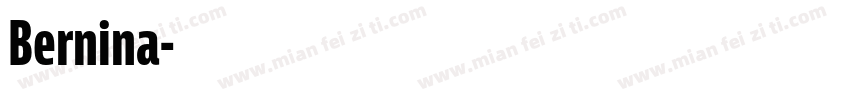 Bernina字体转换