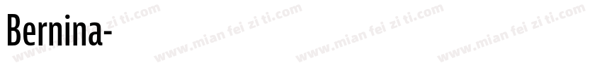 Bernina字体转换