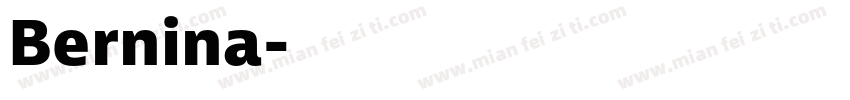Bernina字体转换