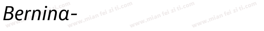 Bernina字体转换